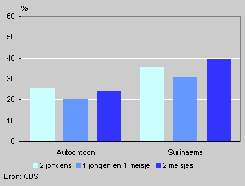 Het Ideale Gezin Een Jongen En Een Meisje