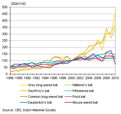 Ошибка the bat data